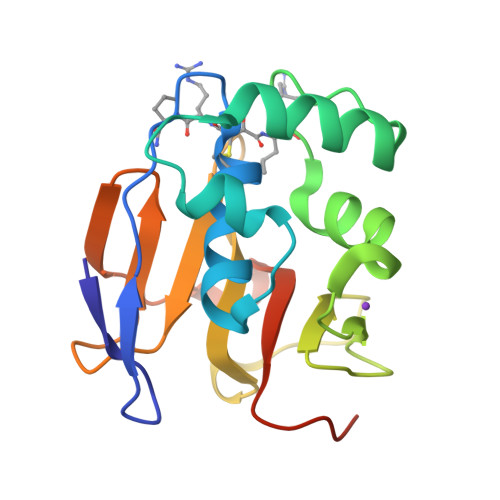 Rcsb Pdb 4qbb Structure Of The Foot And Mouth Disease Virus Leader Proteinase In Complex With Inhibitor N 2 3s 4 2r 1 4 Carbamimidamidobutyl Amino 4 Methyl 1 Oxopentan 2 Yl Amino 3 Hydroxy 4 Oxobutanoyl L Arginyl L Prolinamide