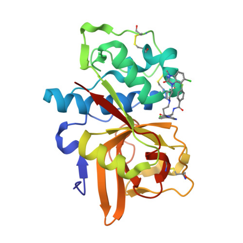 Rcsb Pdb 5qby Crystal Structure Of Human Cathepsin S With Bound Ligand Rcsb Pdb 5qby Crystal Structure Of Human Cathepsin S With Bound Ligand