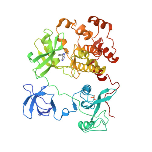 HCK proto-oncogene, Src family tyrosine kinase | Src family | IUPHAR