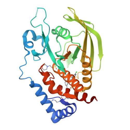 Rcsb Pdb 3qcm Human Receptor Protein Tyrosine Phosphatase Gamma Domain 1 In Complex With 2 3 4 Dichlorobenzyl Sulfanyl 4 3 N 2 Methylamino Ethyl Glycyl Amino Phenyl Ethynyl Benzoic Acid