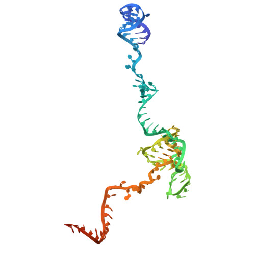 Rcsb Pdb 6qdv Human Post Catalytic P Complex Spliceosome