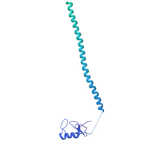 Rcsb Pdb 6qdv Human Post Catalytic P Complex Spliceosome