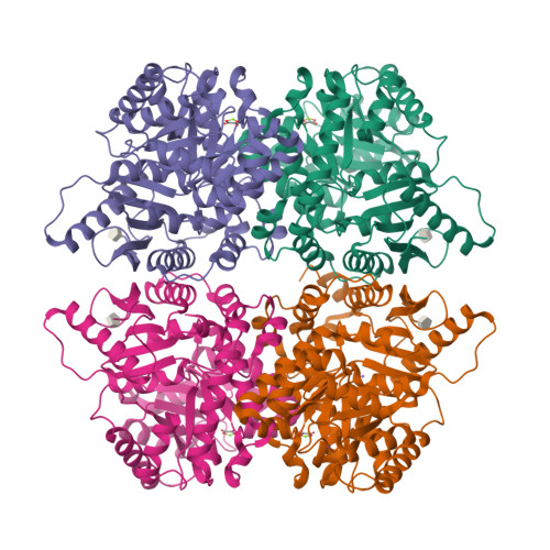 RCSB PDB 7QDN Structure of human liver pyruvate kinase from which