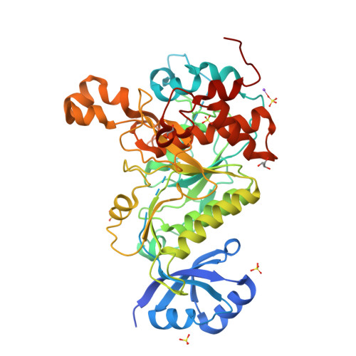 Protein Data Bank: 3QFH