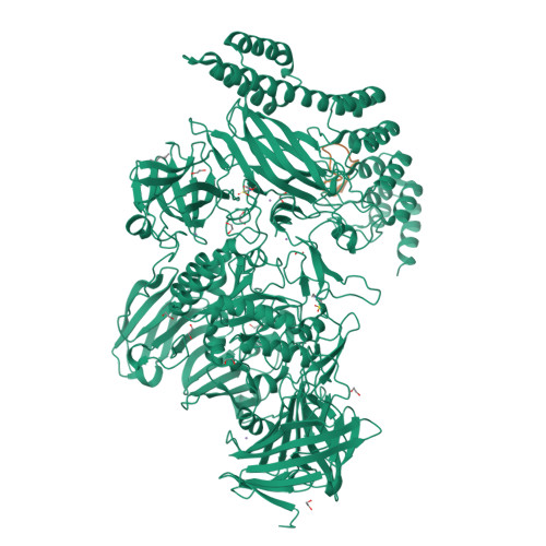 Rcsb Pdb 6qfk Engbf Darpin Fusion 4b G10