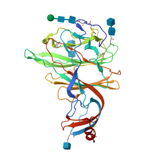 Rcsb Pdb 6qfy Crystal Structure Of Porcine Hemagglutinating Encephalomyelitis Virus Spike Protein Lectin Domain