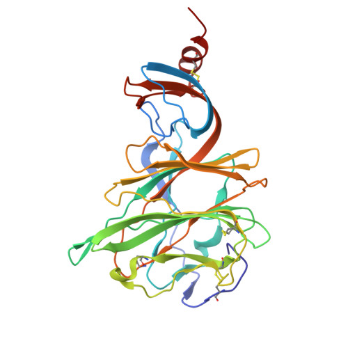 Rcsb Pdb 6qfy Crystal Structure Of Porcine Hemagglutinating Encephalomyelitis Virus Spike Protein Lectin Domain