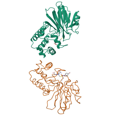 Rcsb Pdb 1qh5 Human Glyoxalase Ii With S N Hydroxy N Bromophenylcarbamoyl Glutathione