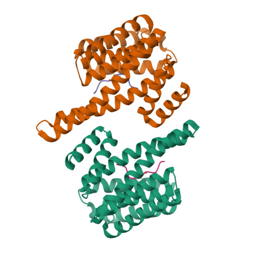 Rcsb Pdb 1qja 14 3 3 Zeta Phosphopeptide Complex Mode 2