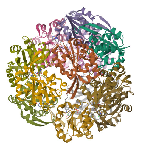 Protein Data Bank: 3QJG