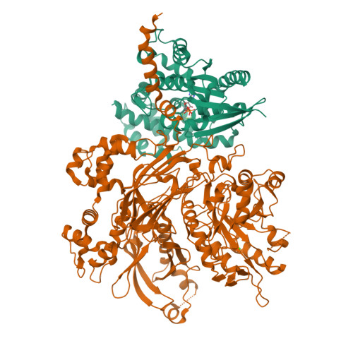 Rcsb Pdb 4qj3 Structure Of A Fragment Of Human Phospholipase C Beta3 Delta472 559 In Complex With Galphaq