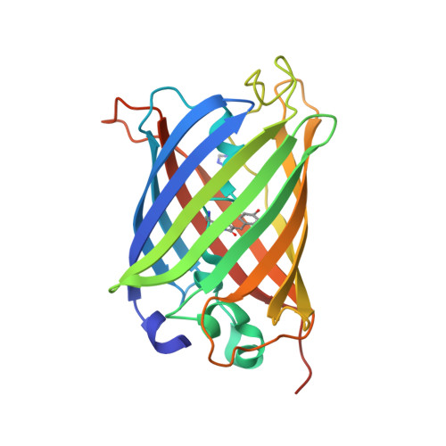 Green Fluorescence Protein