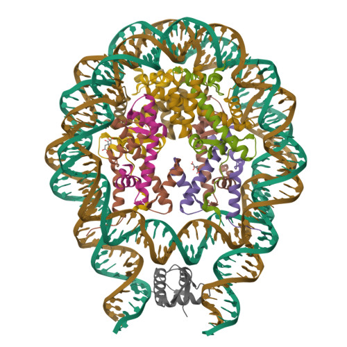 Rcsb Pdb 4qlc Crystal Structure Of Chromatosome At 3 5 Angstrom Resolution