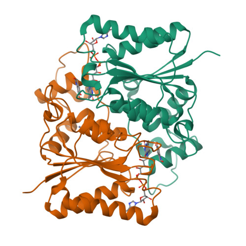 Rcsb Pdb 2qmy Quinone Reductase 2 In Complex With Adrenochrome