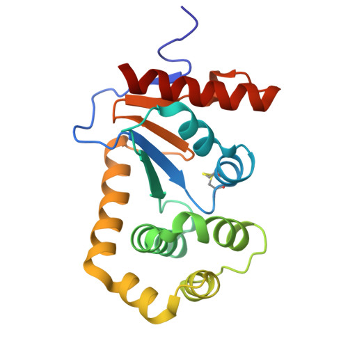 Rcsb Pdb 5qmq Group Deposition Of Library Data Crystal Structure Of Ecdsba After Initial Refinement With No Ligand Modelled Structure F8 1