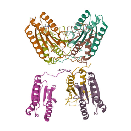 Rcsb Pdb 3qnw Caspase 6 In Complex With Z Vad Fmk Inhibitor