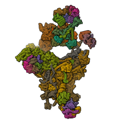 8QO9 assembly