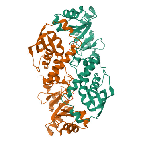 Rcsb Pdb 1qpq Structure Of Quinolinic Acid Phosphoribosyltransferase From Mycobacterium Tuberculosis A Potential Tb Drug Target