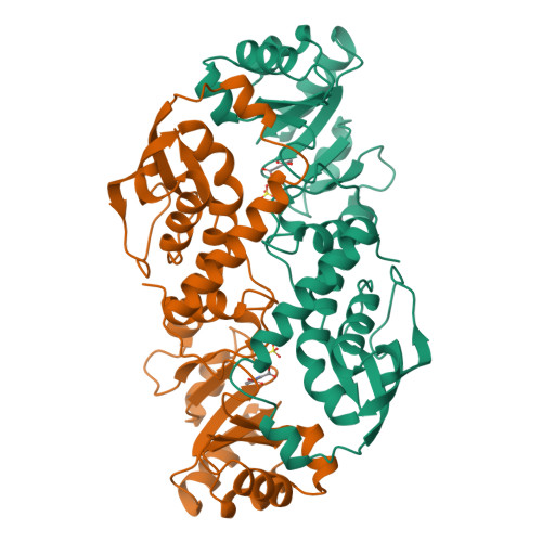 Rcsb Pdb 1qpq Structure Of Quinolinic Acid Phosphoribosyltransferase From Mycobacterium Tuberculosis A Potential Tb Drug Target