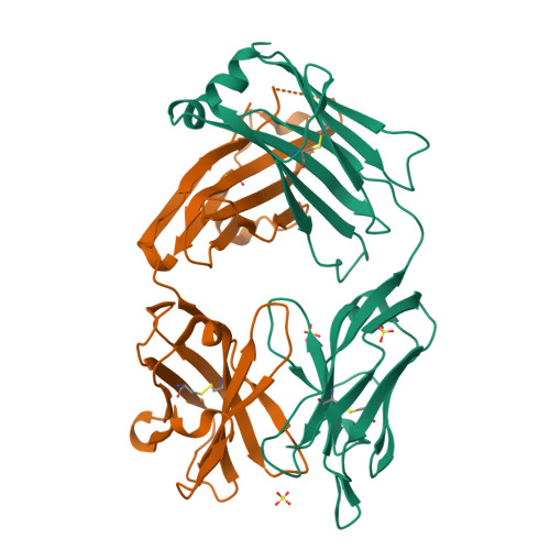 Rcsb Pdb 3qq9 Crystal Structure Of Fab Fragment Of Anti Human Rsv Respiratory Syncytial Virus F Protein Mab 101f