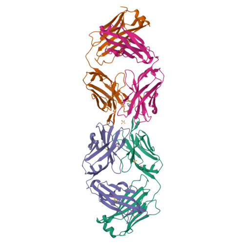 Rcsb Pdb 3qq9 Crystal Structure Of Fab Fragment Of Anti Human Rsv Respiratory Syncytial Virus F Protein Mab 101f