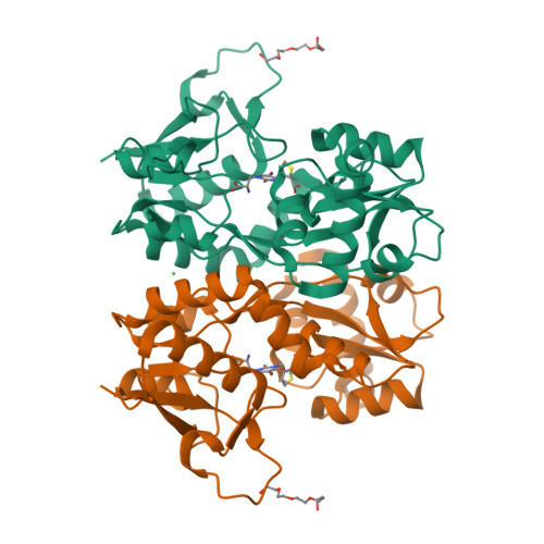 Rcsb Pdb 2qs2 Crystal Structure Of The Glur5 Ligand Binding Core Dimer In Complex With Ubp318 At 1 80 Angstroms Resolution