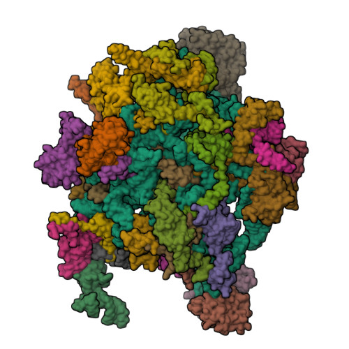 8QU1 assembly