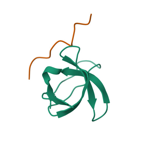 Rcsb Pdb 1qwe C Src Sh3 Domain Complexed With Ligand App12