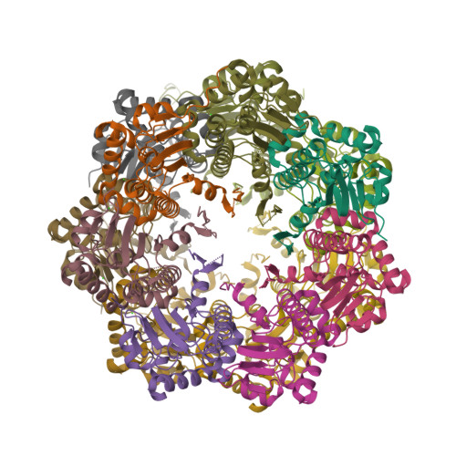 Protein Data Bank: 3QWD