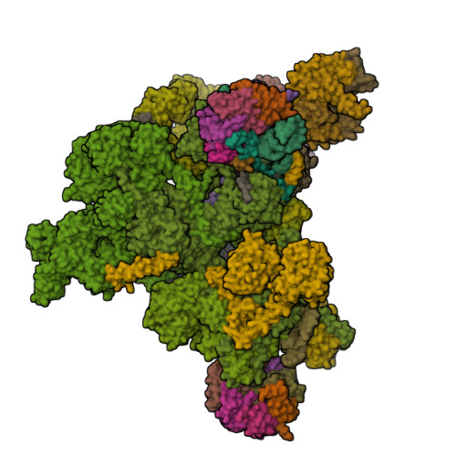 Rcsb Pdb 6qw6 Structure Of The Human U5 U4 U6 Tri Snrnp At 2 9a Resolution