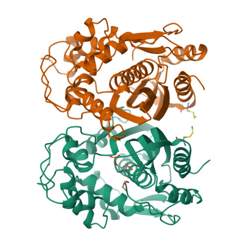 Rcsb Pdb 6qxh Crystal Structure Of His Tag Human Thymidylate Synthase Ht Hts In Complex With Dump