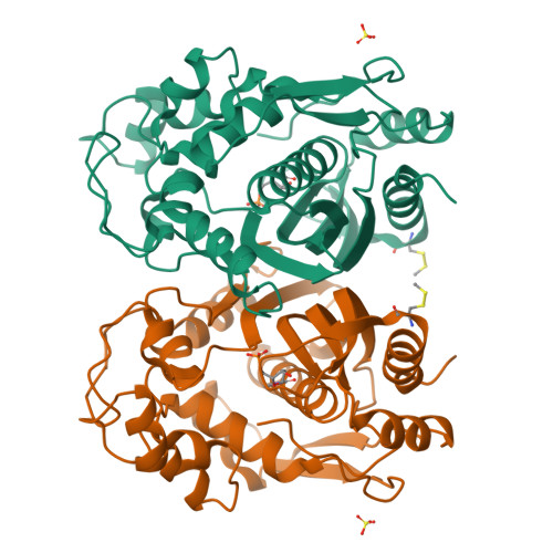 Rcsb Pdb 6qxh Crystal Structure Of His Tag Human Thymidylate Synthase Ht Hts In Complex With Dump