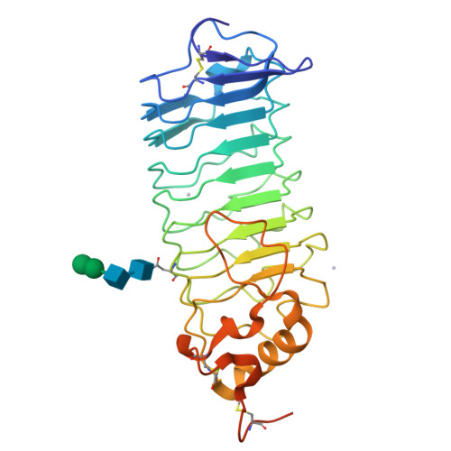 Rcsb Pdb 1qyy Crystal Structure Of N Terminal Domain Of Human Platelet Receptor Glycoprotein Ib Alpha At 2 8 Angstrom Resolution