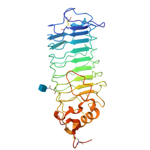 Rcsb Pdb 1qyy Crystal Structure Of N Terminal Domain Of Human Platelet Receptor Glycoprotein Ib Alpha At 2 8 Angstrom Resolution