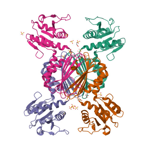 Protein Data Bank: 3QY9