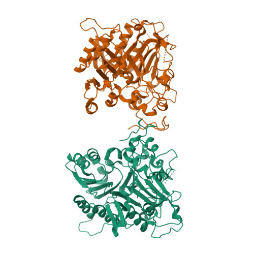 Rcsb Pdb 1qzq Human Tyrosyl Dna Phosphodiesterase