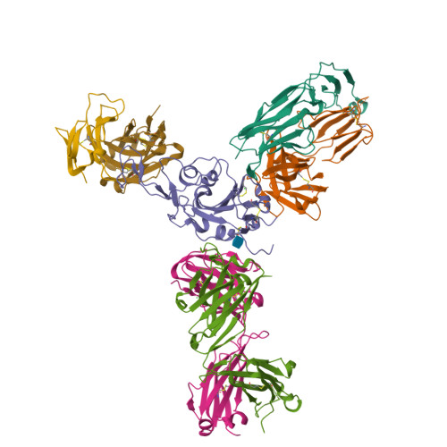 Rcsb Pdb 7r6x Sars Cov 2 Spike Receptor Binding Domain Rbd In Complex With S2e12 Fab S309 Fab And S304 Fab
