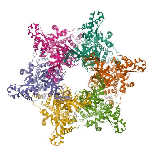 Rcsb Pdb 4r7y Crystal Structure Of An Active Mcm Hexamer