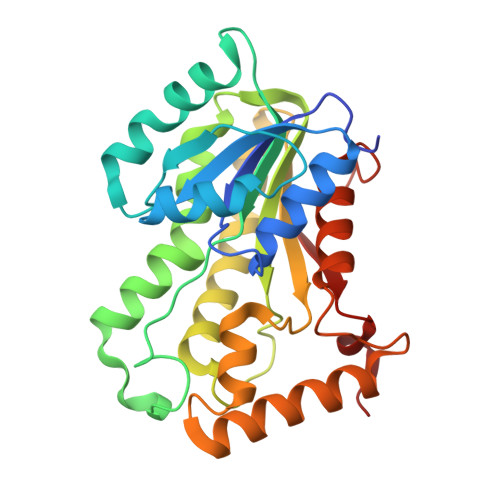 RCSB PDB - 6R9W: Crystal structure of InhA in complex with AP-124 inhibitor