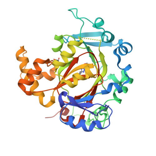 Rcsb Pdb 6rbj Crystal Structure Of Kdm3b In Complex With 5 1h Tetrazol 5 Yl Quinolin 8 Ol