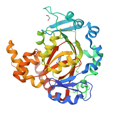 Rcsb Pdb 6rbj Crystal Structure Of Kdm3b In Complex With 5 1h Tetrazol 5 Yl Quinolin 8 Ol