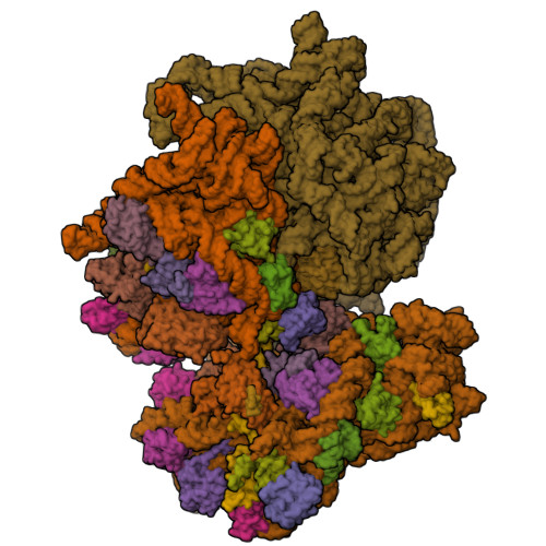 8RCT assembly