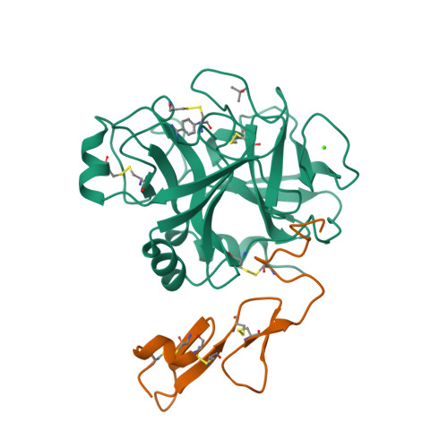 Rcsb Pdb 1rfn Human Coagulation Factor Ixa In Complex With P Amino Benzamidine