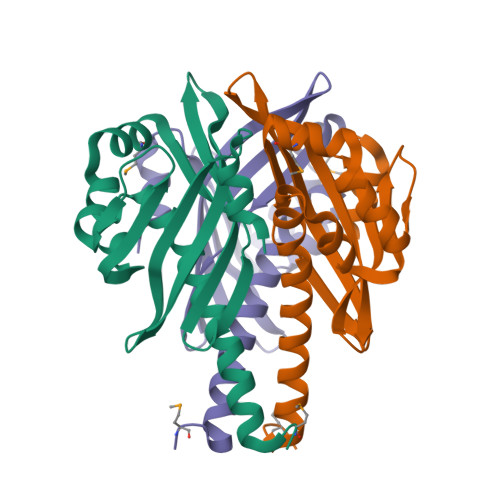Rcsb Pdb 2rfr Crystal Structure Of An Ntf2 Like Protein With A Cystatin Like Fold Saro 3722 From Novosphingobium Aromaticivorans Dsm At 1 16 A Resolution