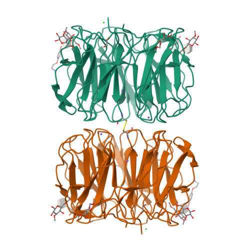 Rcsb Pdb 6rgw Photorhabdus Asymbiotica Lectin Phl In Complex With O Methylated Pgl 1 Derived Disaccharide