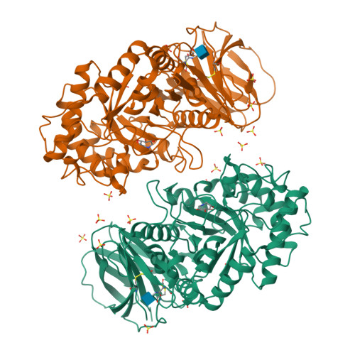 Rcsb Pdb 3ril The Acid Beta Glucosidase Active Site Exhibits Plasticity In Binding 3 4 5 6 Tetrahydroxyazepane Based Inhibitors Implications For Pharmacological Chaperone Design For Gaucher Disease