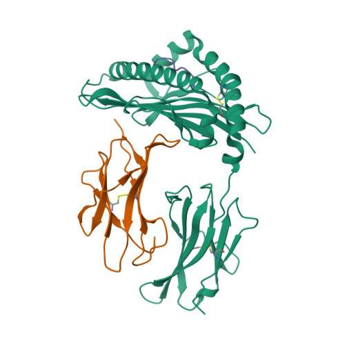 Rcsb Pdb 1rjz Mhc Class I Natural Mutant H 2kbm8 Heavy Chain Complexed With Beta 2 Microglobulin And Herpies Simplex Virus Mutant Glycoprotein B Peptide