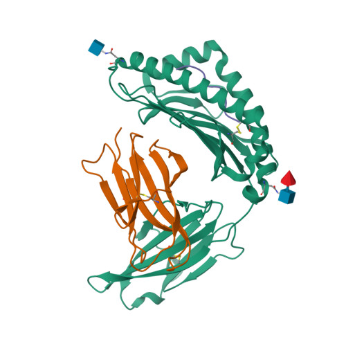 Rcsb Pdb 1rk1 Mhc Class I Natural H 2kb Heavy Chain Complexed With Beta 2 Microglobulin And Herpes Simplex Virus Mutant Glycoprotein B Peptide