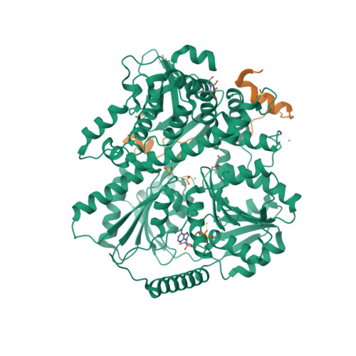 Rcsb Pdb 6rm8 Crystal Structure Of The Deah Box Atpase Prp2 In Complex With Spp2 And Adp