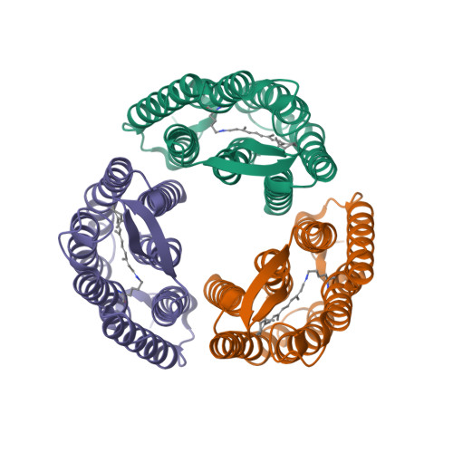 Rcsb Pdb 6rmk Bacteriorhodopsin Dark State Cell 2 Refined Using The Same Protocol As Sub Ps Time Delays